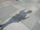 Shadow