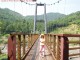 Yuki on Bridge