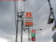 Orange Lawson