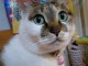 Mimi