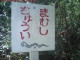 Mamushi