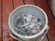 Bucket