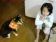 after Mamemaki