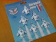 Blue Impulse