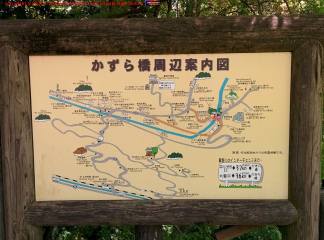 �����鶶