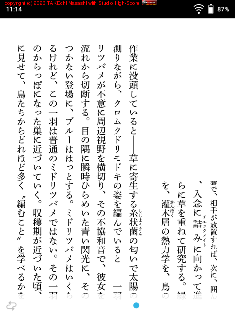 honto��E-Ink ü���˺�Ŭ������Ƥ��ʤ��ƥ�˥塼�������ʤ��Τ�����������